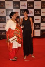 Nigaar Khan at Indian Telly Awards in Filmcity, Mumbai on 9th Sept 2014